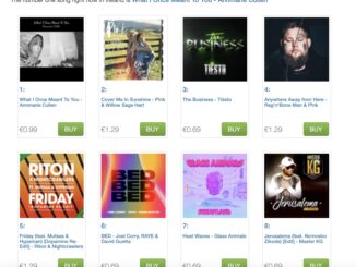 iTunes singles chart photo showing annmarie cullen's what i once meant to you at number 1